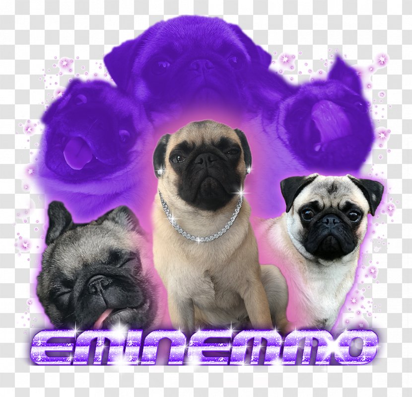 Pug T-shirt Puppy Hoodie Dog Breed - Heart - Eminem Transparent PNG