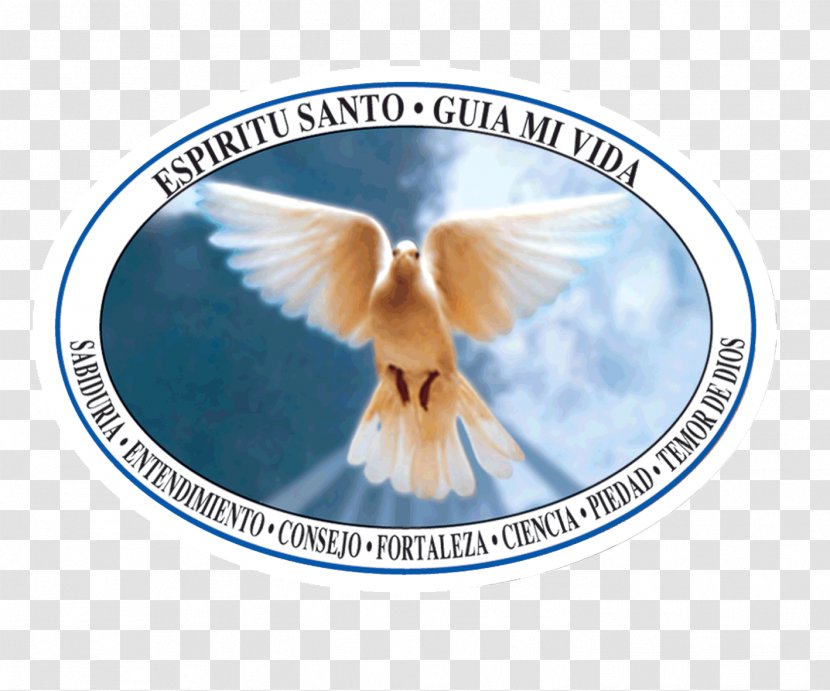Divinity Editorial Santa María Saint Tribe God - Description - Santo Transparent PNG