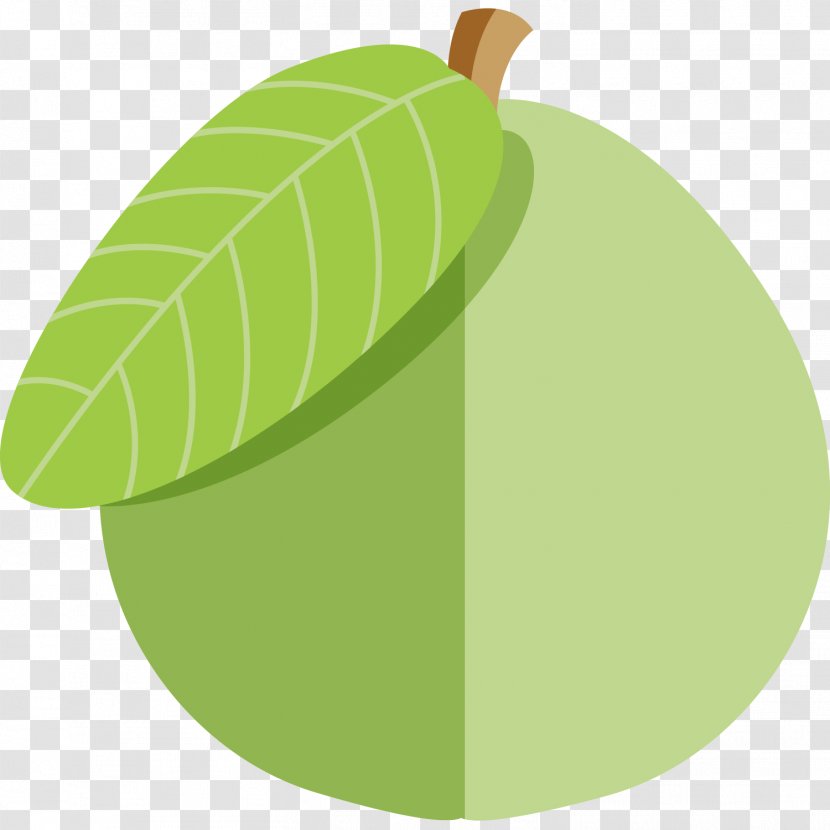 Fruit Green Adobe Photoshop RGB Color Model - Cartoon Transparent PNG