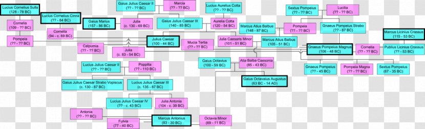 Roman Empire Ancient Rome Republic Family Tree - Magenta - To Observe And Learn From Real Life Transparent PNG