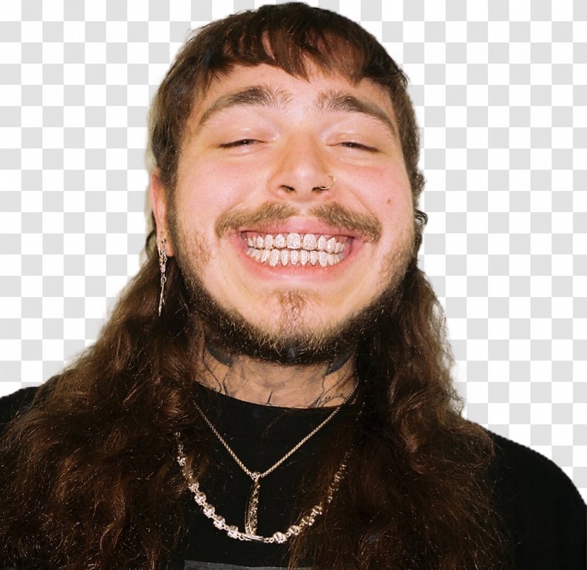 Post Malone Psycho Stoney Beerbongs & Bentleys The Hot 100 - Tree Transparent PNG
