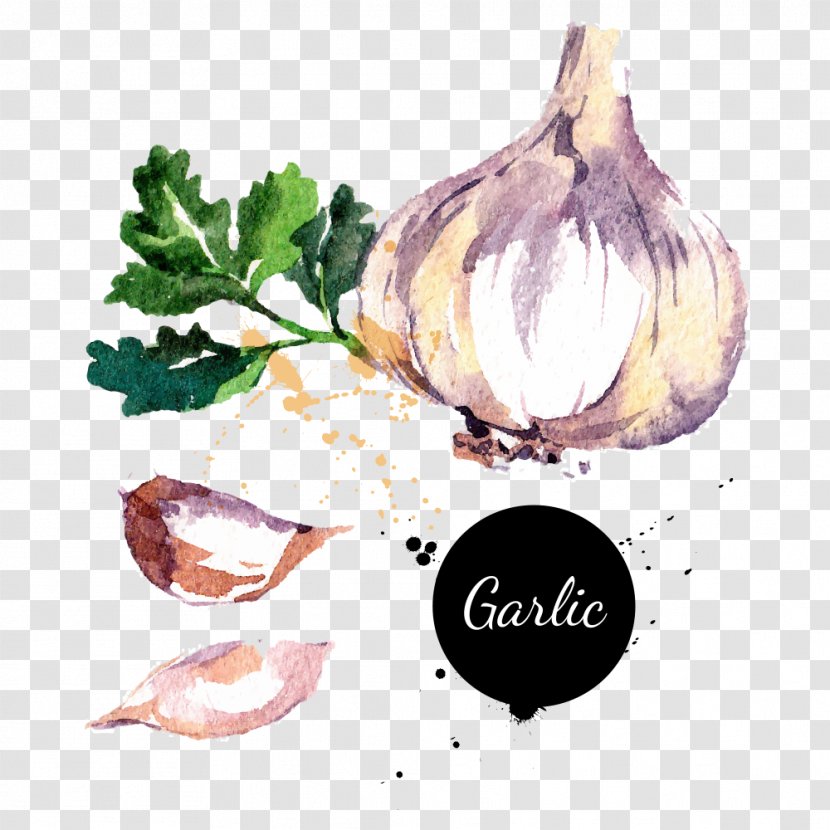 Potato Onion Chili Con Carne Garlic Vegetable Transparent PNG