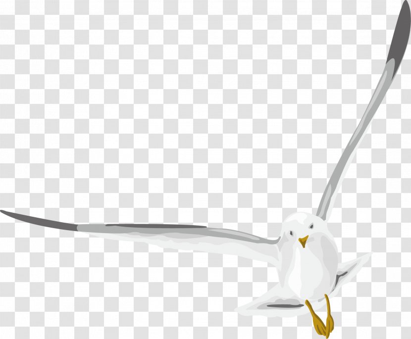 Designer - Technology - Seagulls Fly With Vivid Designs Transparent PNG