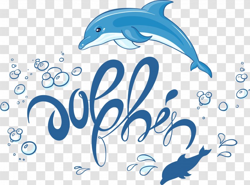 Common Bottlenose Dolphin Drawing Illustration - Text - Effect Transparent PNG