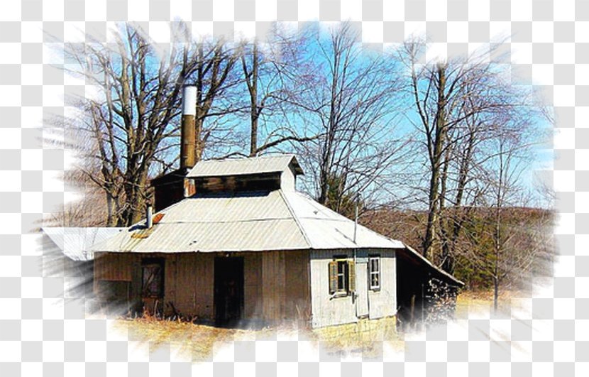 Sugar Shack House Property Roof Cabane - Hut Transparent PNG