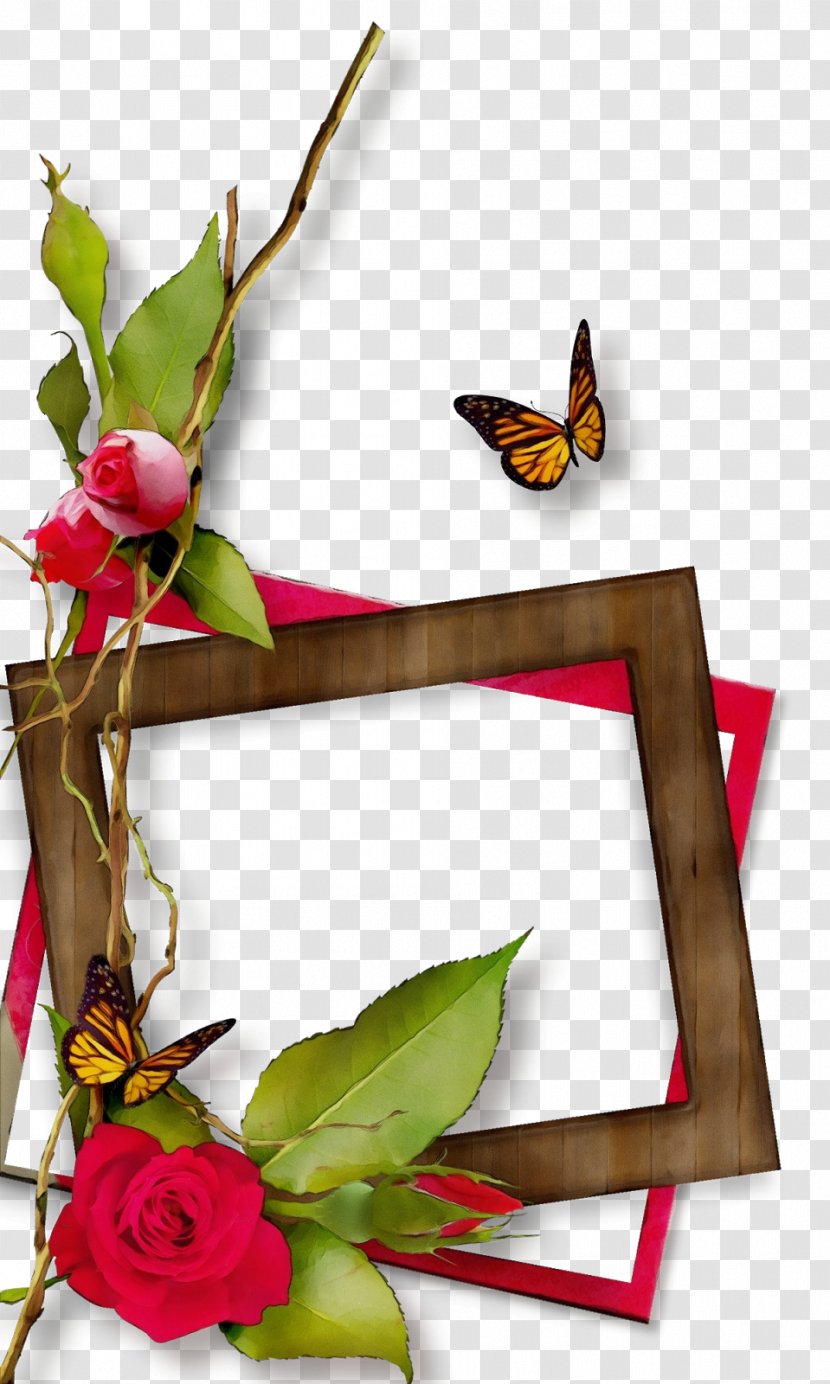 Watercolor Flowers Frame - Membrane - Paper Product Pollinator Transparent PNG