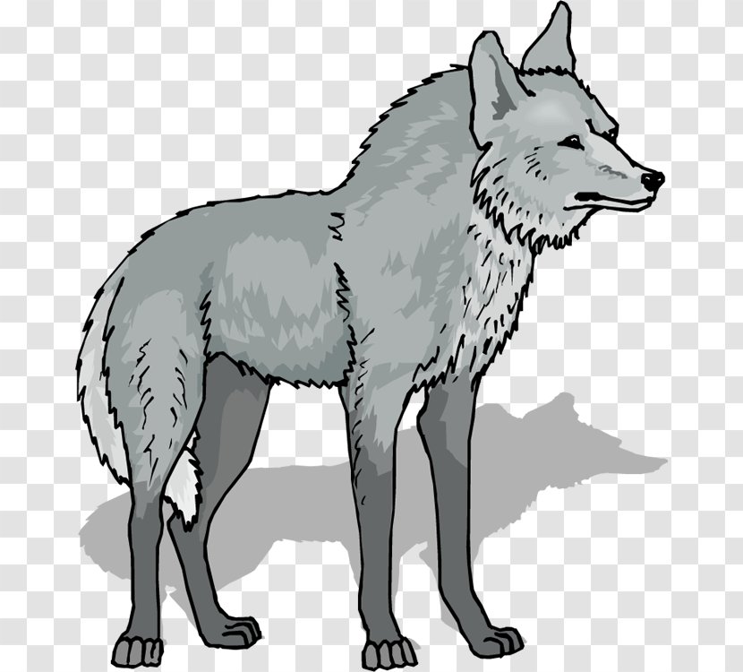 Gray Wolf Clip Art - Dog Like Mammal - Cliparts Transparent PNG