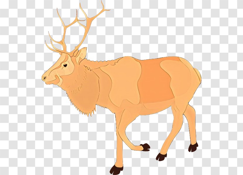 Reindeer - Moose - Antler Transparent PNG