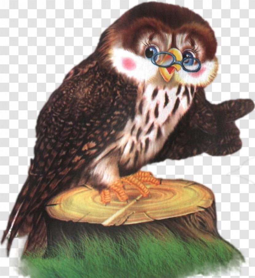 Little Owl Bird Of Prey Odnoklassniki Transparent PNG