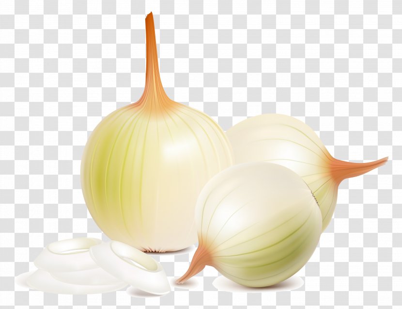 Red Onion Vegetable Parsley - Ingredient - Garlic Transparent PNG