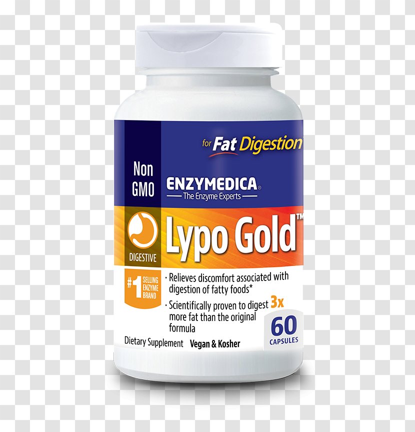 Dietary Supplement Digestion Lipase Digestive Enzyme - Food Transparent PNG