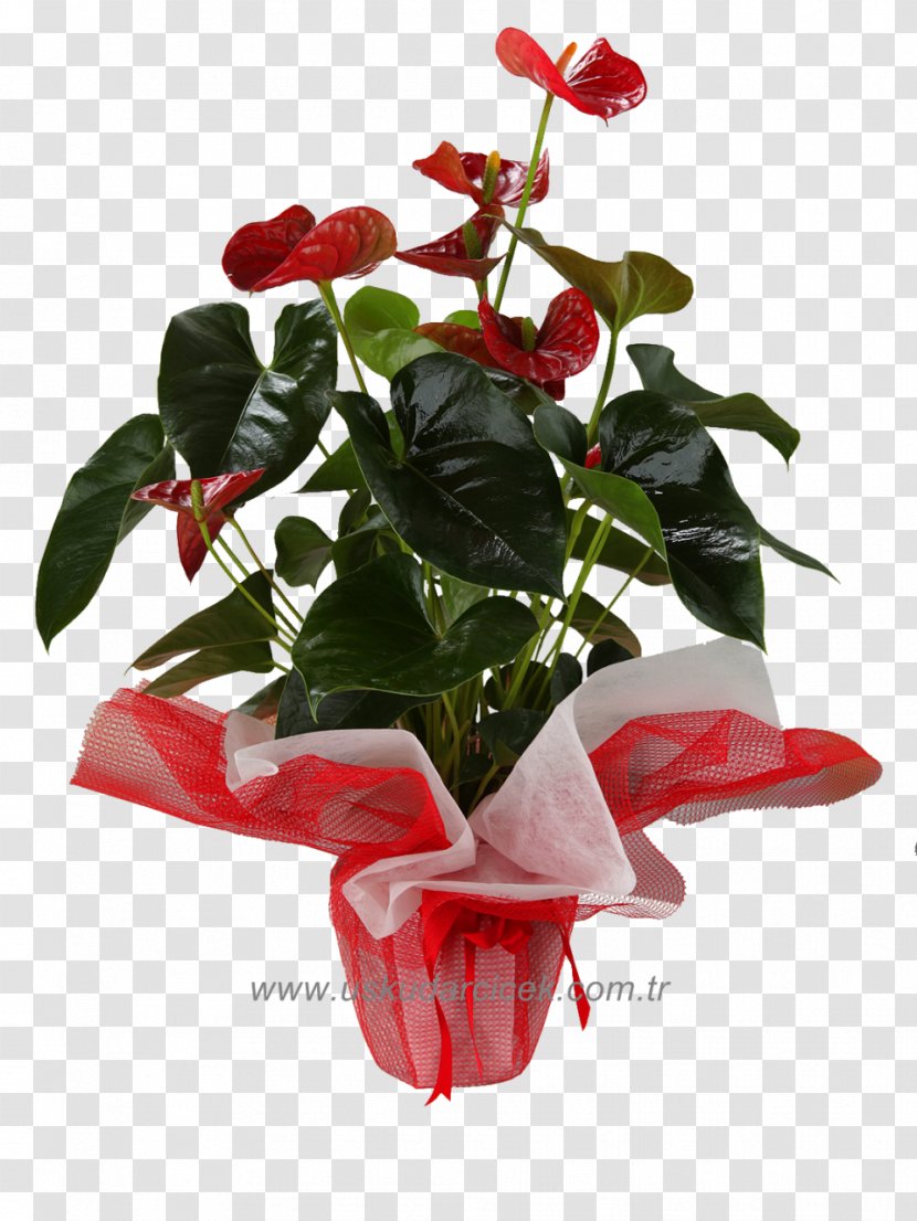 Garden Roses Flowerpot Red Floristry - Flower Transparent PNG