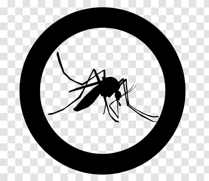 Mosquito Control Guadeloupe Health Care - Prevence - Fly Transparent PNG