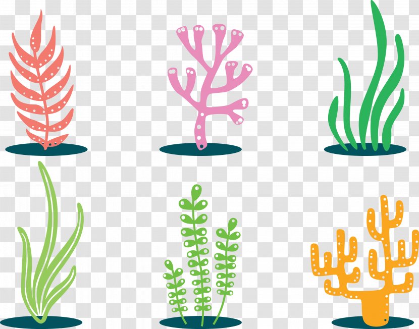 Coral Clip Art - Leaf - Colorful Plants Transparent PNG