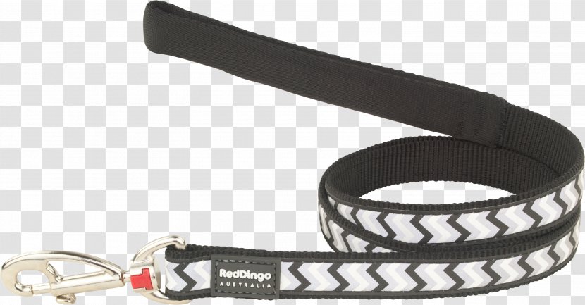 Leash Dog Dingo Cat Pet - Lead Transparent PNG