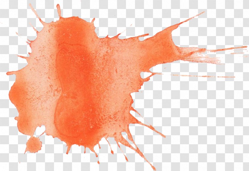 Watercolor Painting Orange - Watercolour Splash Transparent PNG