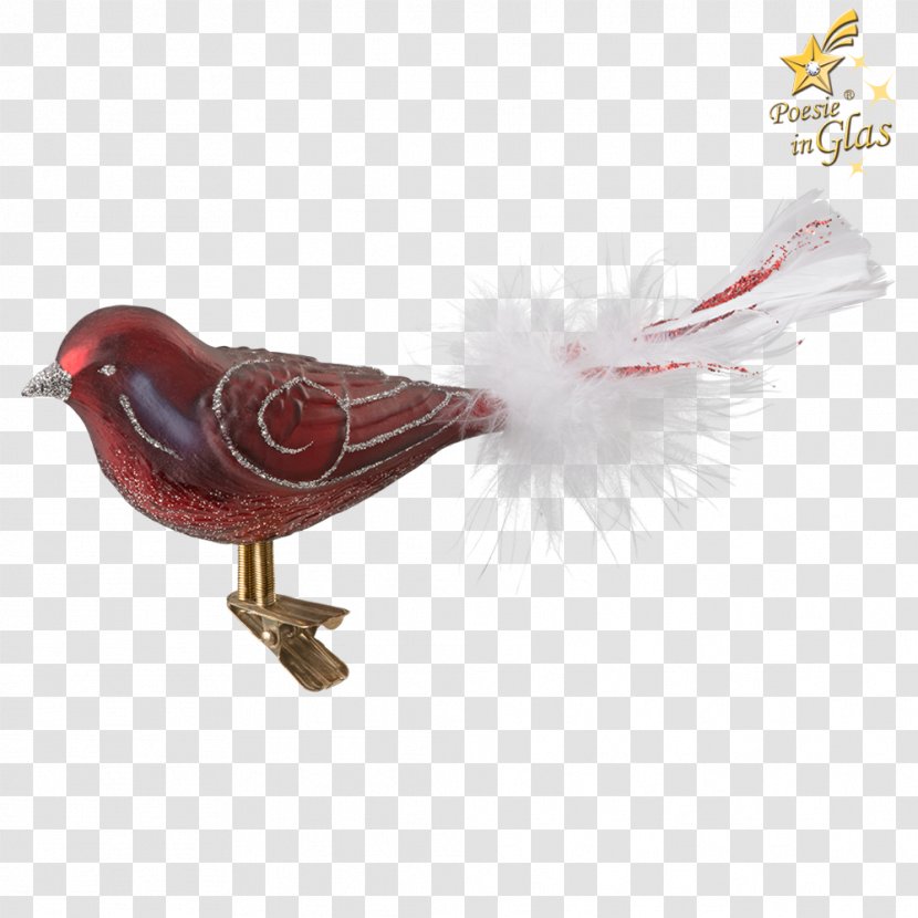 Feather Beak - Wing - Hand Painted Cook Transparent PNG