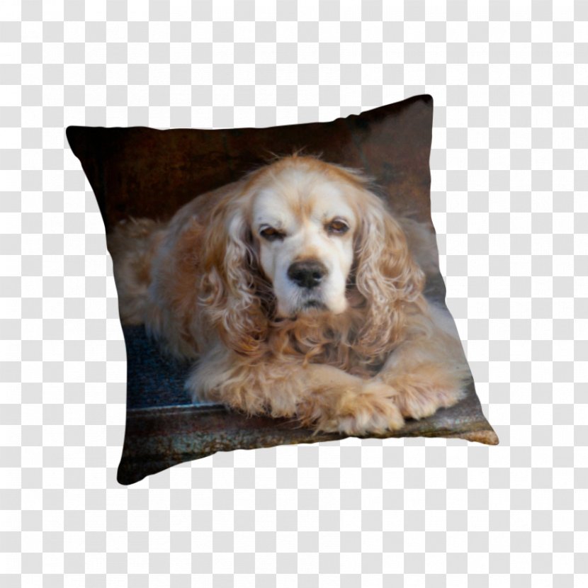 English Cocker Spaniel Dog Breed Puppy Sporting Group Companion Transparent PNG