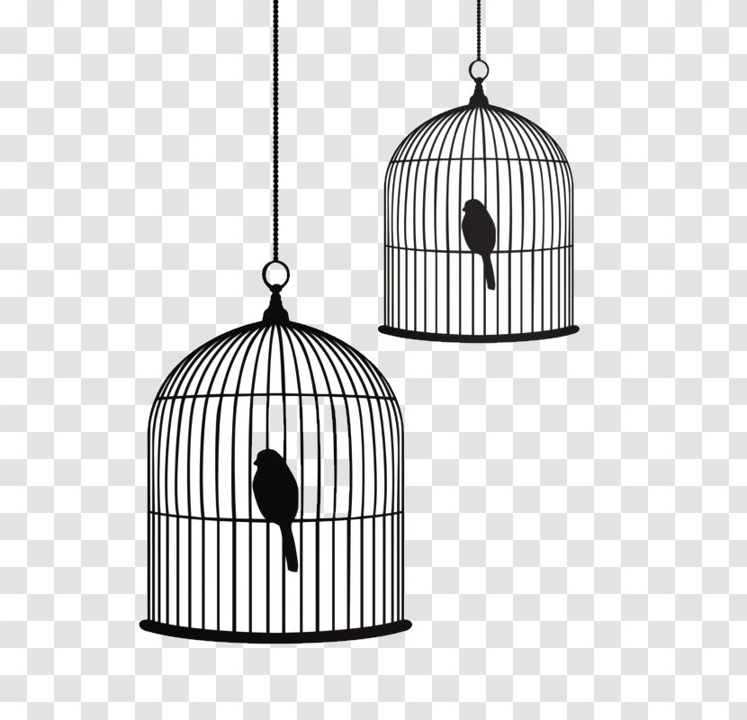 Birdcage Stencil Drawing - Bird Transparent PNG