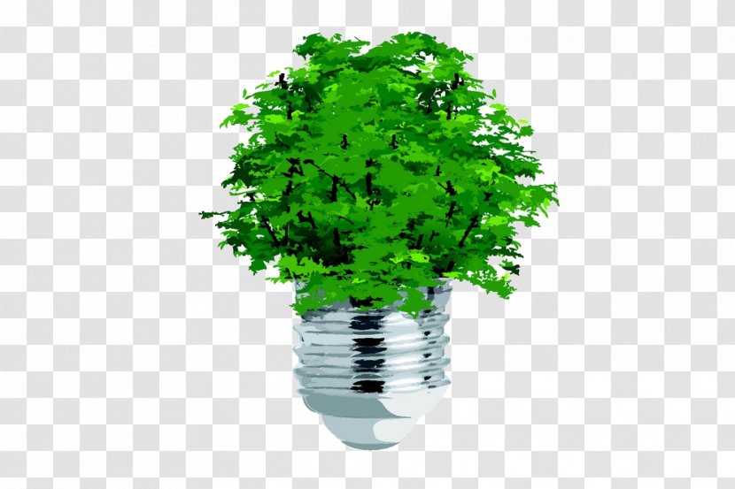 Tree Ecology Concept Clip Art - Drawing - Creative Bulb Plant Transparent PNG