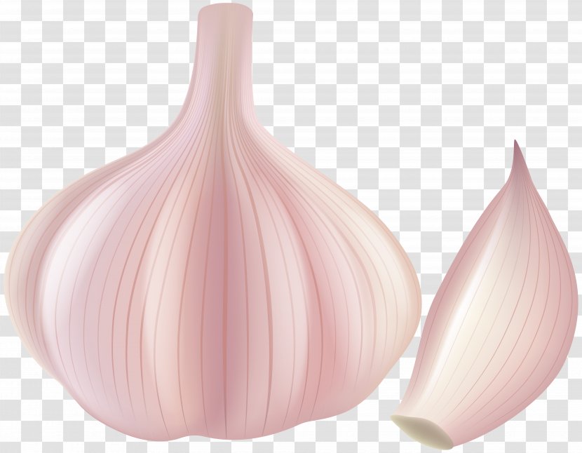 Garlic Shallot Clip Art - Peach - Cartoon Transparent PNG