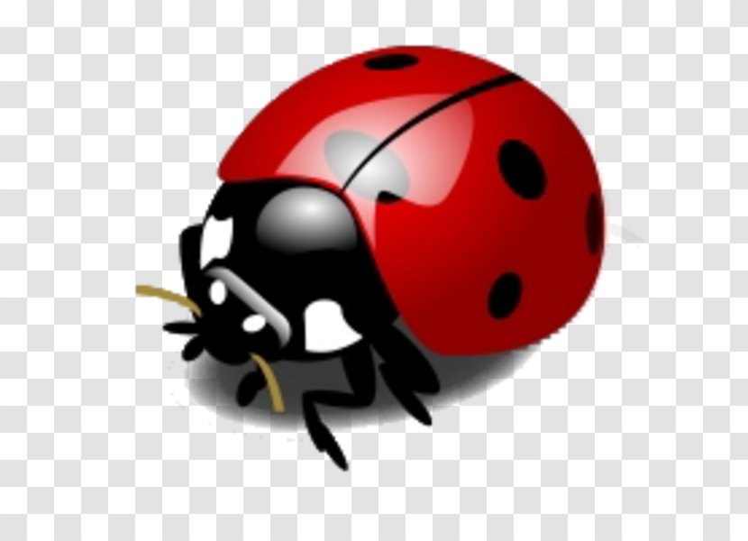 Ladybird Beetle Clip Art Image - Invertebrate Transparent PNG