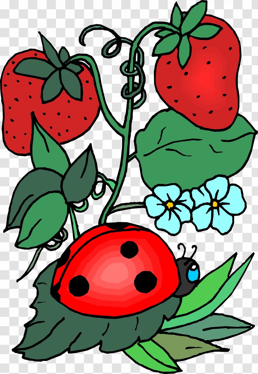 Insect Ladybird Bee Clip Art - Word Transparent PNG