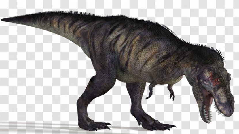 Albertosaurus Bistahieversor Strange Battle Royale 3D Super Ball DZ Edmontosaurus - Tyrannosaurus Transparent PNG