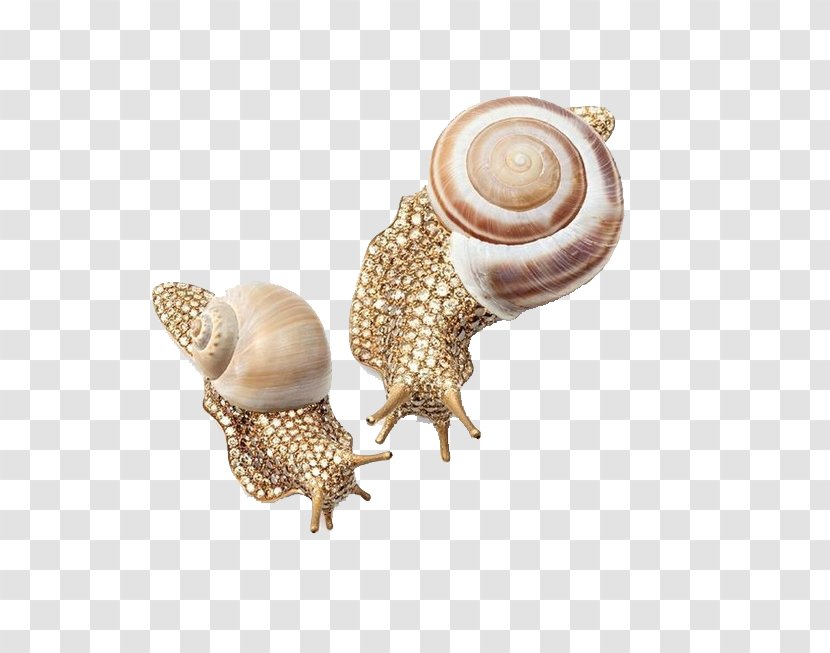 Brooch Jewellery Diamond Hemmerle Fibula - Golden Snail Transparent PNG