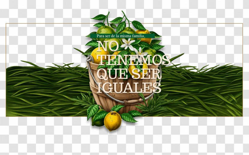 Product Tree - Jugos Naturales Transparent PNG