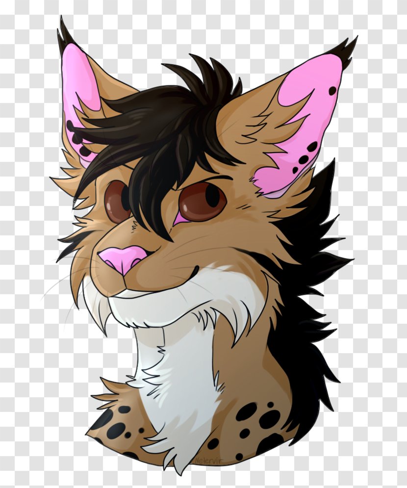 Whiskers Dog Cat Snout - Character Transparent PNG