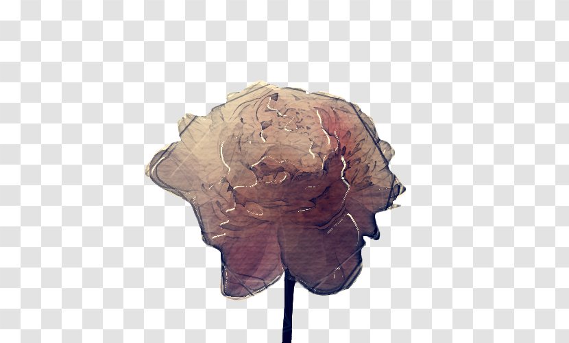 Leaf Head Beige Headgear Tree - Hydrangea Flower Transparent PNG