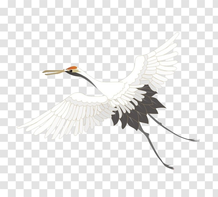 Red-crowned Crane Painting - Ink Wash - Fly Free To Pull The Material Transparent PNG