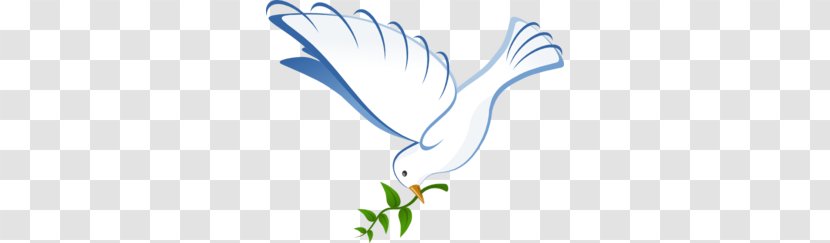 Columbidae Clip Art - Royaltyfree - Dove Cliparts Transparent PNG