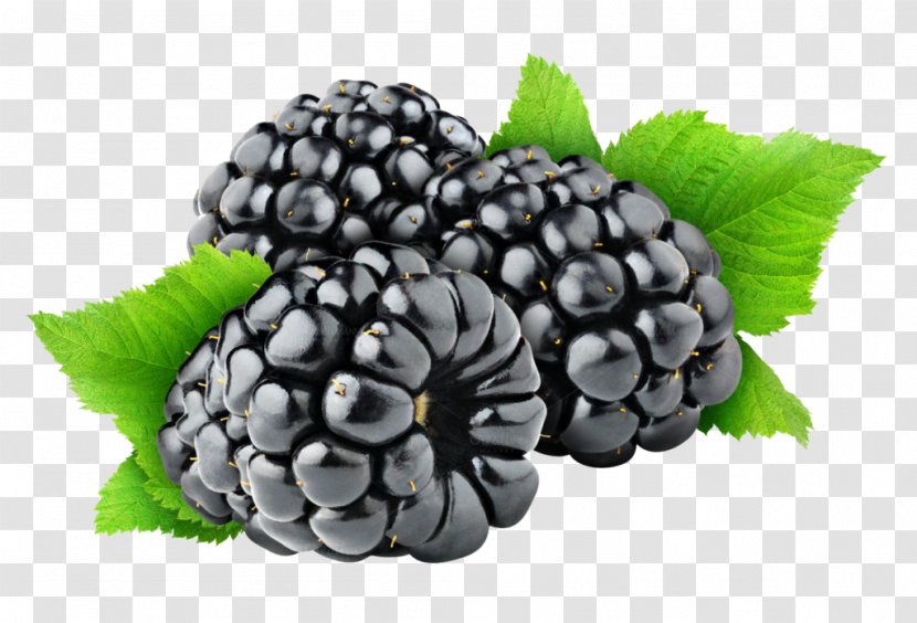 Blackberry Fruit Frozen Food - Aggregate Transparent PNG