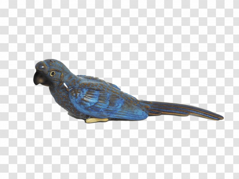 Parakeet Cobalt Blue Feather Beak Transparent PNG
