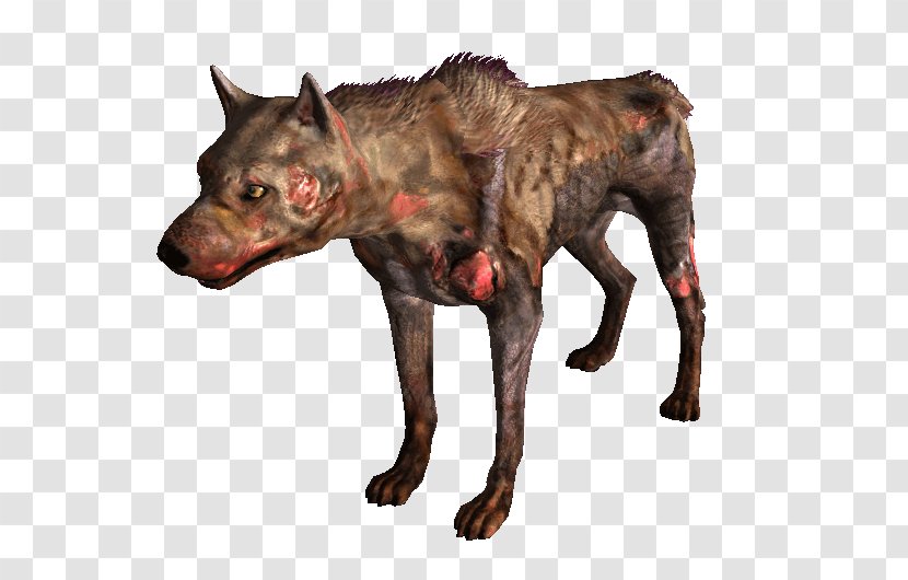 Fallout: New Vegas Fallout 3 Dog Breed Wasteland Chesapeake Bay Retriever - Dogs 101 Transparent PNG