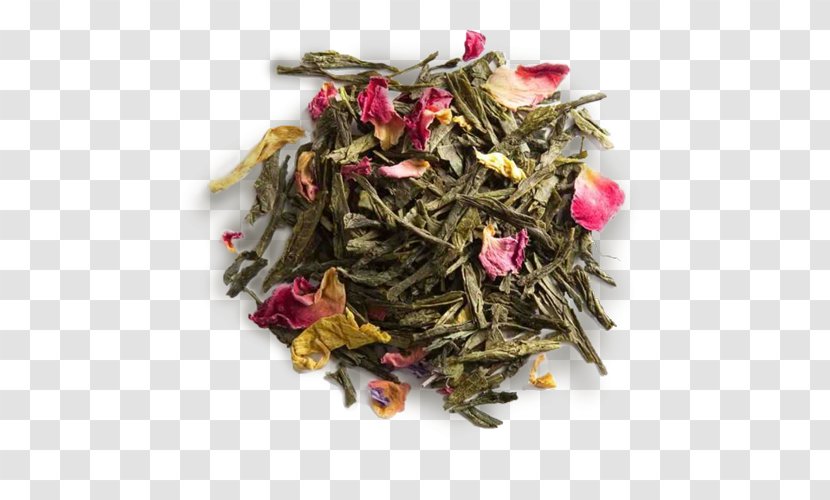 Green Tea Earl Grey Masala Chai English Breakfast - Culture Transparent PNG