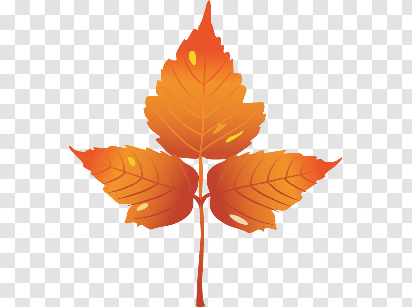 Maple Leaf Transparent PNG