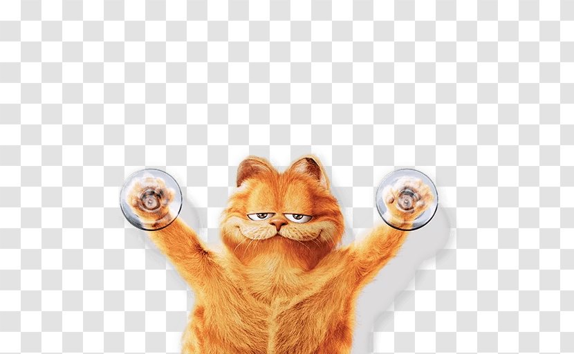 Desktop Wallpaper Garfield Cat 1080p - Mammal Transparent PNG