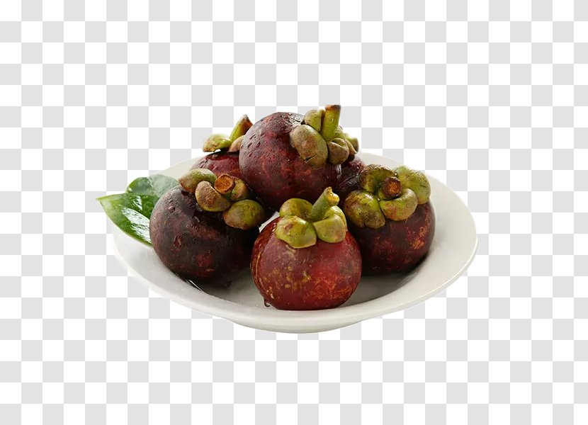 Purple Mangosteen Father Google Images - Son - A Winding Pull The Bamboo Material Free Transparent PNG