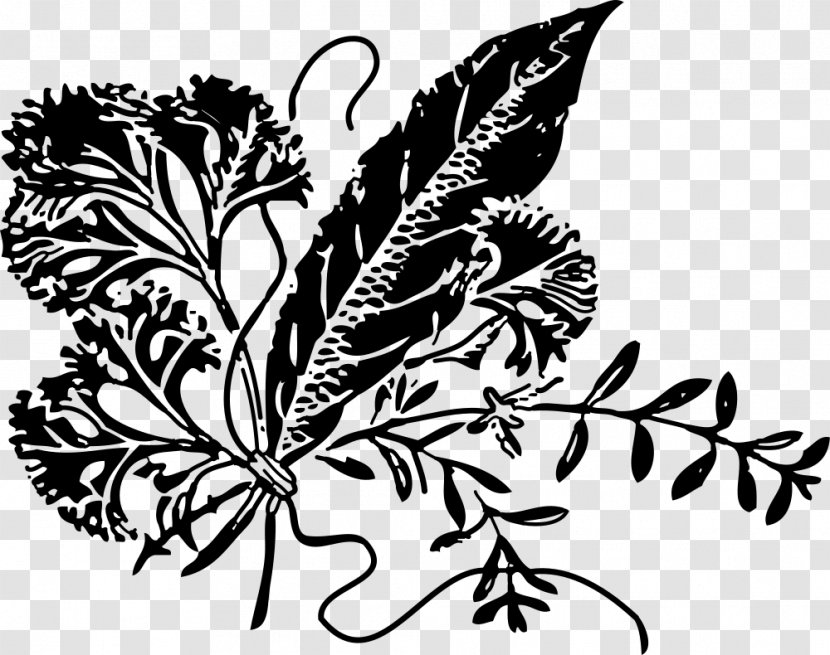 Black And White Herbal Tea Clip Art - Parsley - Flora Transparent PNG