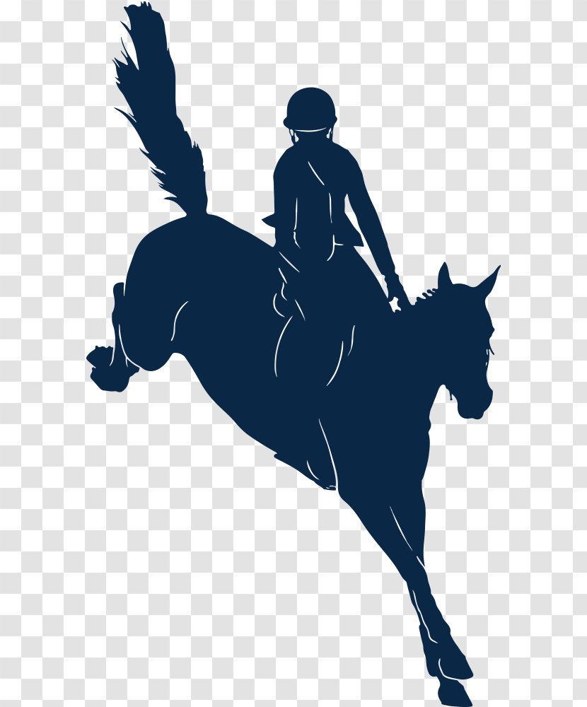 Arabian Horse Stallion Las Vegas English Riding Equestrian - Eventing Transparent PNG
