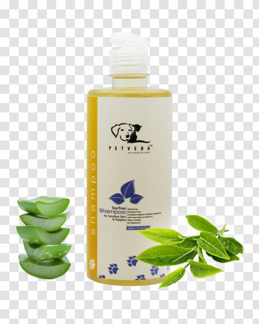 Lotion Shampoo Petveda Sodium Laureth Sulfate Hair Conditioner - Moisturizer - Tea Tree Transparent PNG