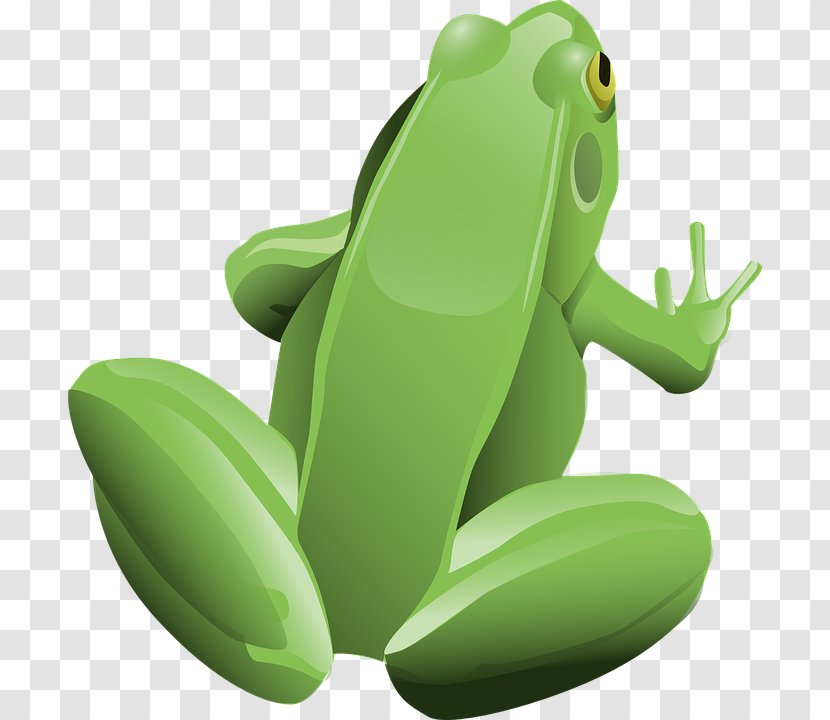 Frog Clip Art - Toad - Green Transparent PNG