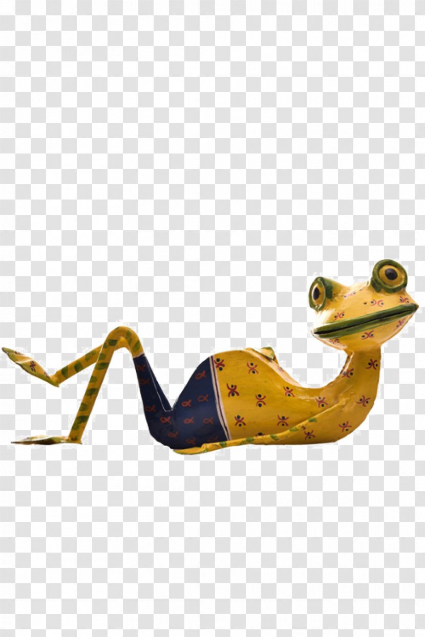 Frog Shoe - Organism Transparent PNG