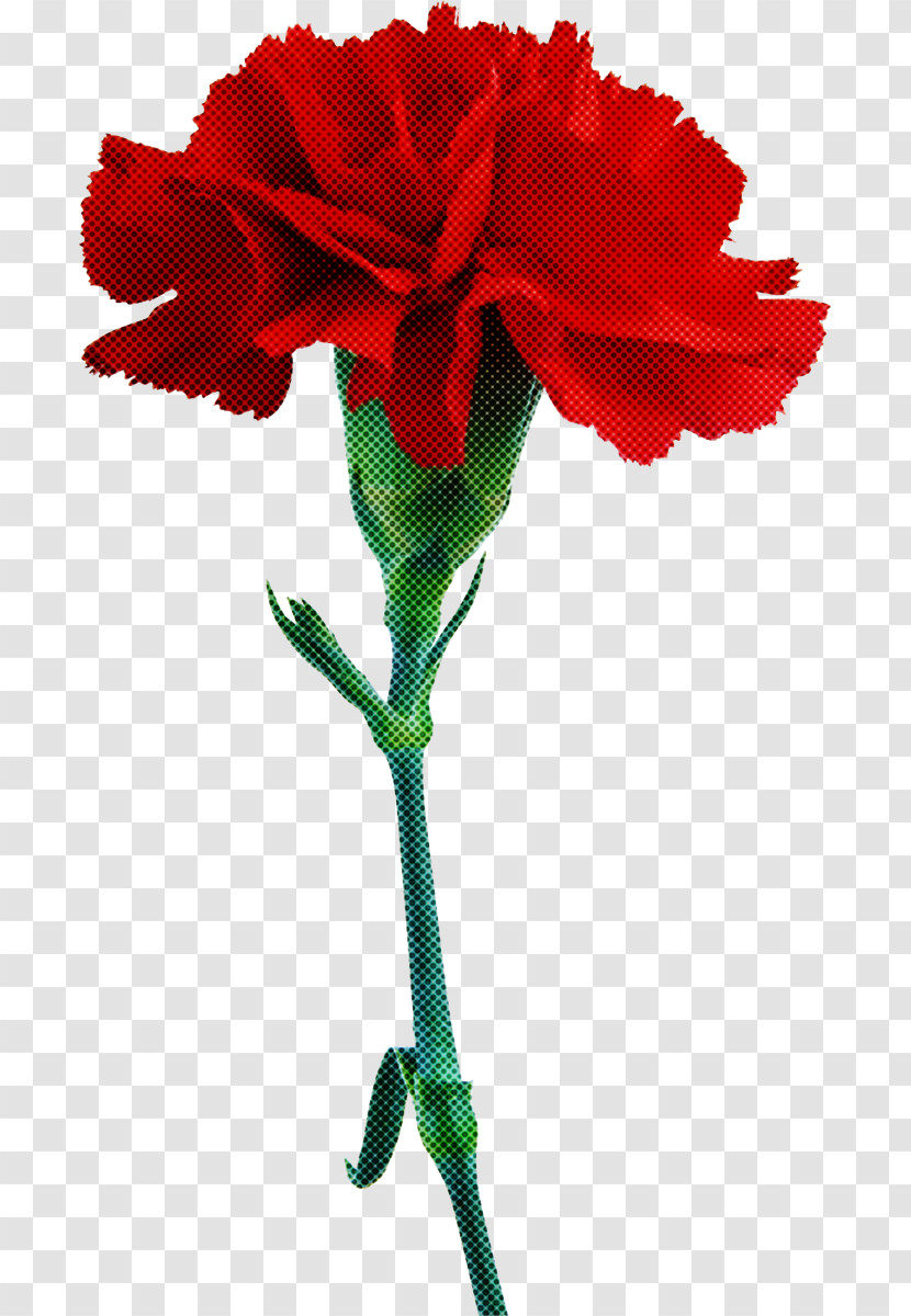 Rose Transparent PNG