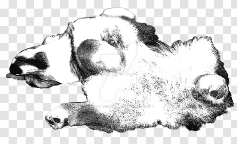 Dog Breed Cat Puppy Non-sporting Group - Artwork Transparent PNG
