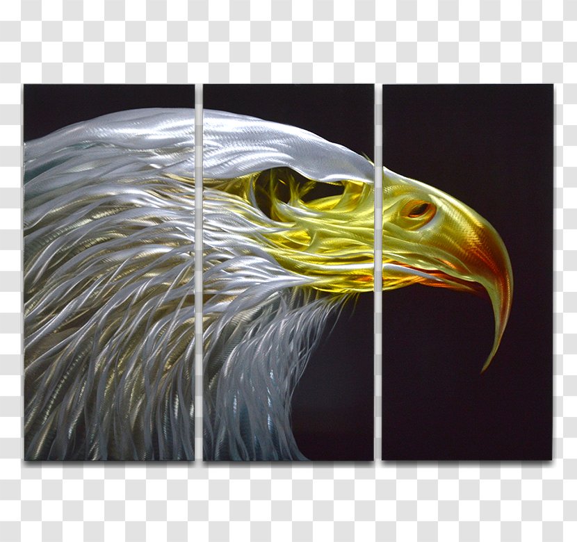 Bald Eagle Snakes And Ladders Beak Margarita - Metals Llc Transparent PNG