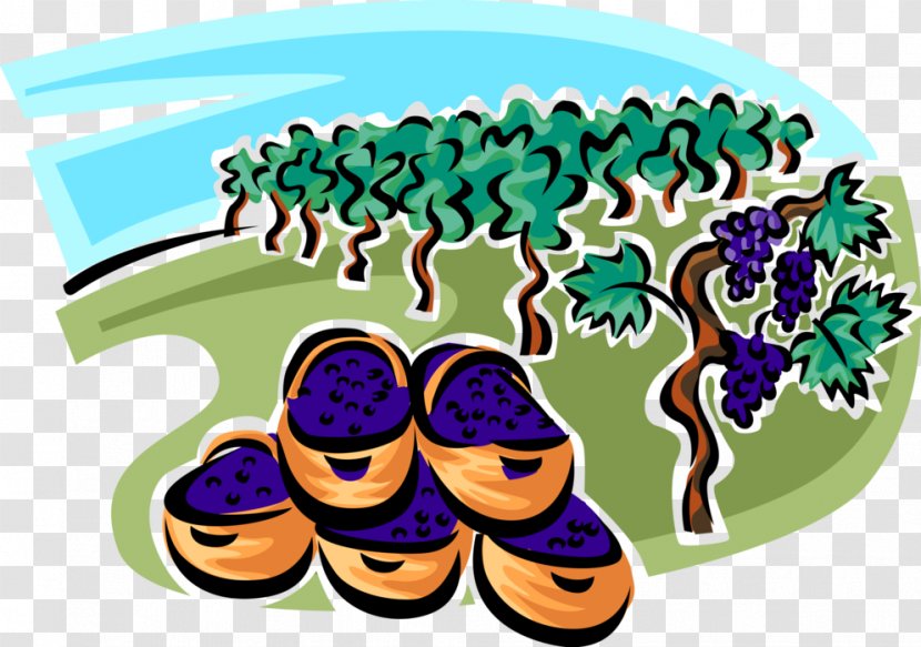 Fruit Tree - Plant - Shoe Transparent PNG